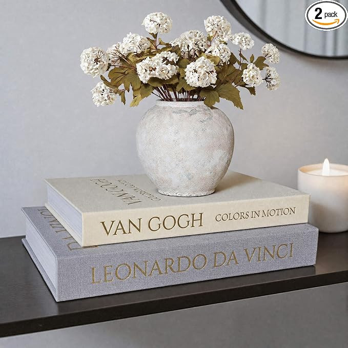 Decorative Linen Book Set of 2, Faux Book Storage Box, Coffee Table and Bookshelf Decor | Amazon (US)