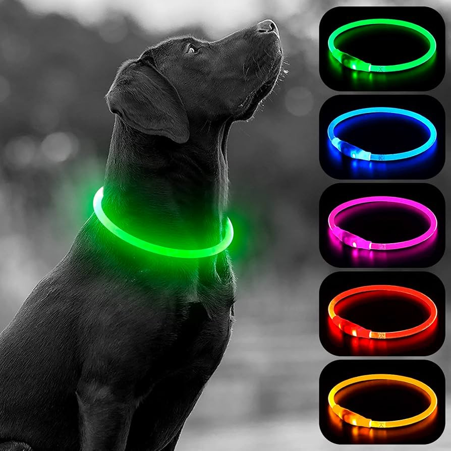HIGO Light Up Dog Collars, USB Rechargeable LED Dog Collar, TPU Cuttable Dog Glow Collar, High Vi... | Amazon (US)