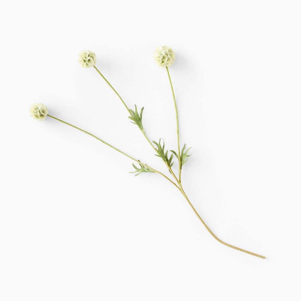 Faux Scabiosa Stem | West Elm (US)