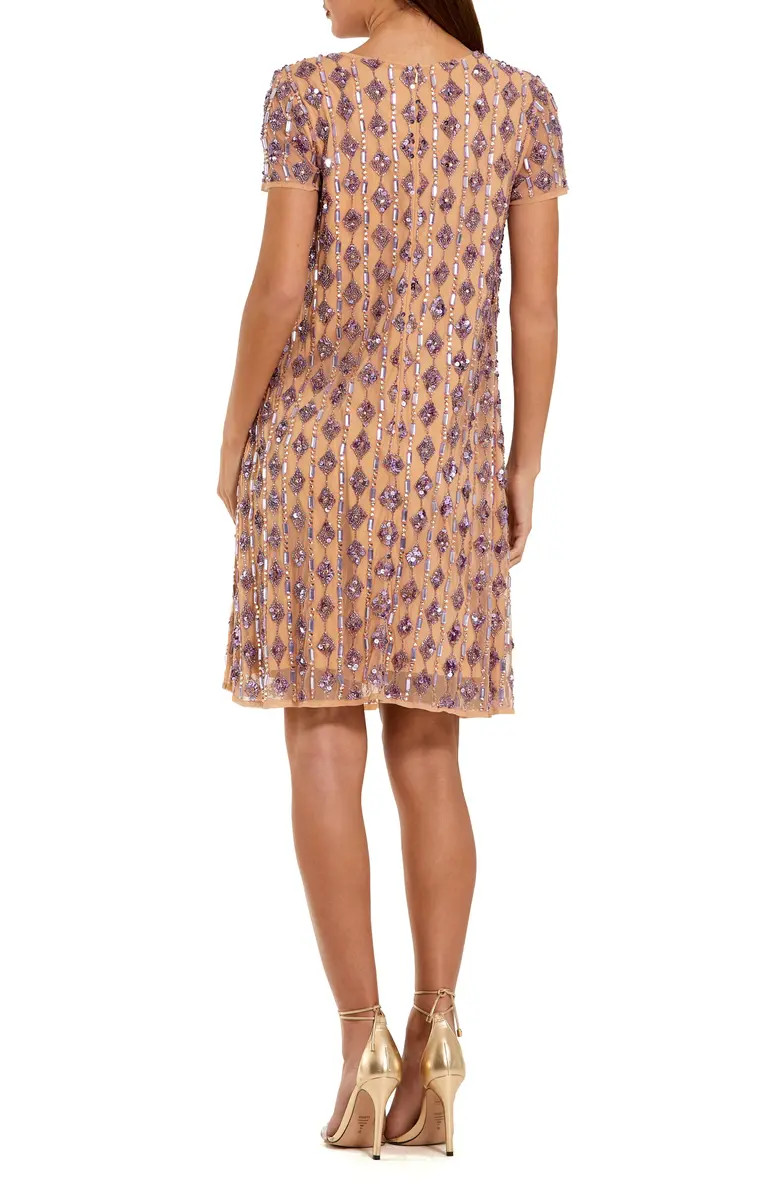 Mesh Beaded Cap Sleeve A Line Above Knee Dress | Nordstrom