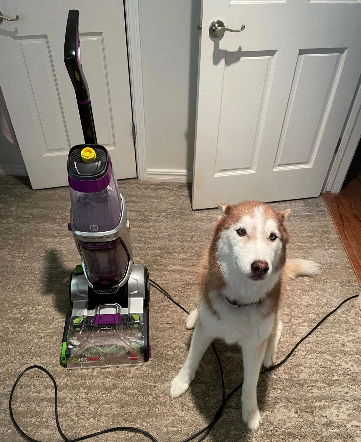 My carpet shampooer is on sale! It’s a must have in any home and would make a Perfect gift 

Cleaning, carpet cleaning, spring cleaning, pets, home, household appliance, carpet cleaner solution, wedding gift, birthday gift, black Friday, carpet, cyber week, cyber Monday, target, target finds, Black Friday sale 

#LTKGiftGuide #LTKCyberWeek #LTKHome