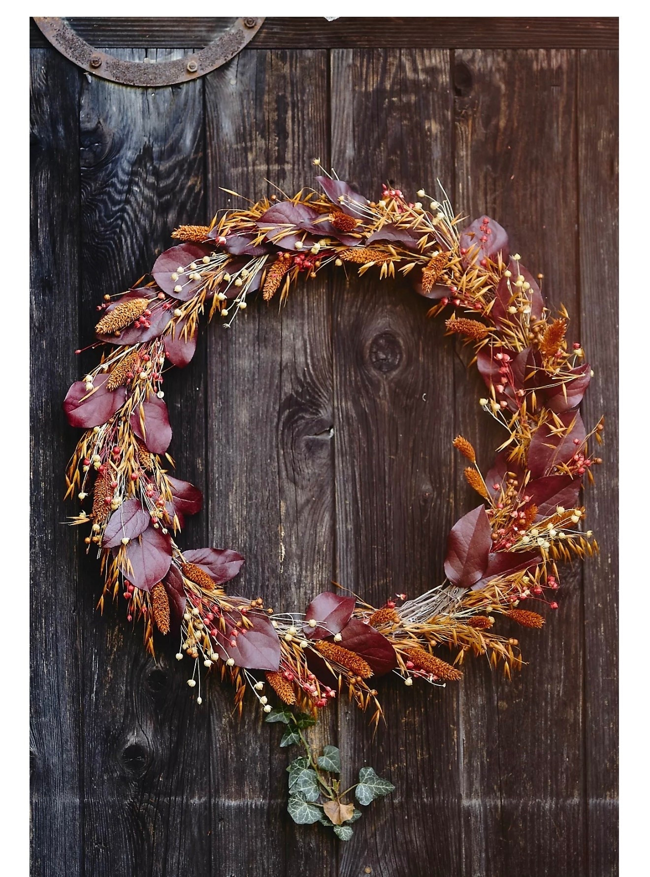 Preserved Oat + Flax Wreath

Arriving in an oversized diameter for maximum drama, this gorgeous preserved wreath is hand-crafted using seasonal botanicals grown on an independent farm. Textured leaves in a deep neutral tone makes it a bold statement piece for the doorway, wall, or over the mantel.

#LTKHome #LTKStyleTip #LTKHoliday