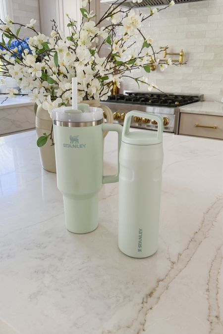 These pretty new @stanley tumblers just arrived in the mist color and they are the perfect additions to my collection for spring and summer! The 40oz quencher is great for around the house and in the car, and the 24oz IceFlow is my new favorite to take on the go and on dog walks! #stanleypartner

#LTKhome #LTKstyletip #LTKActive