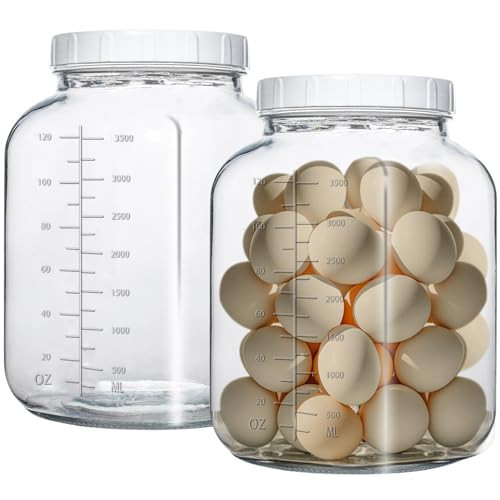 Galssmagic 1 Gallon Glass Jar with Lids,2 Pack Super Wide Mouth Large Mason Jars 128 oz,Glass Gallon Jugs Storage Container for Sun Tea,Kombucha,Storing,Canning | Amazon (US)