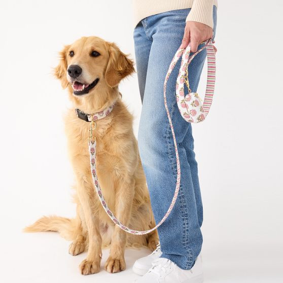 Block Print Dog Leash Set | Mark and Graham