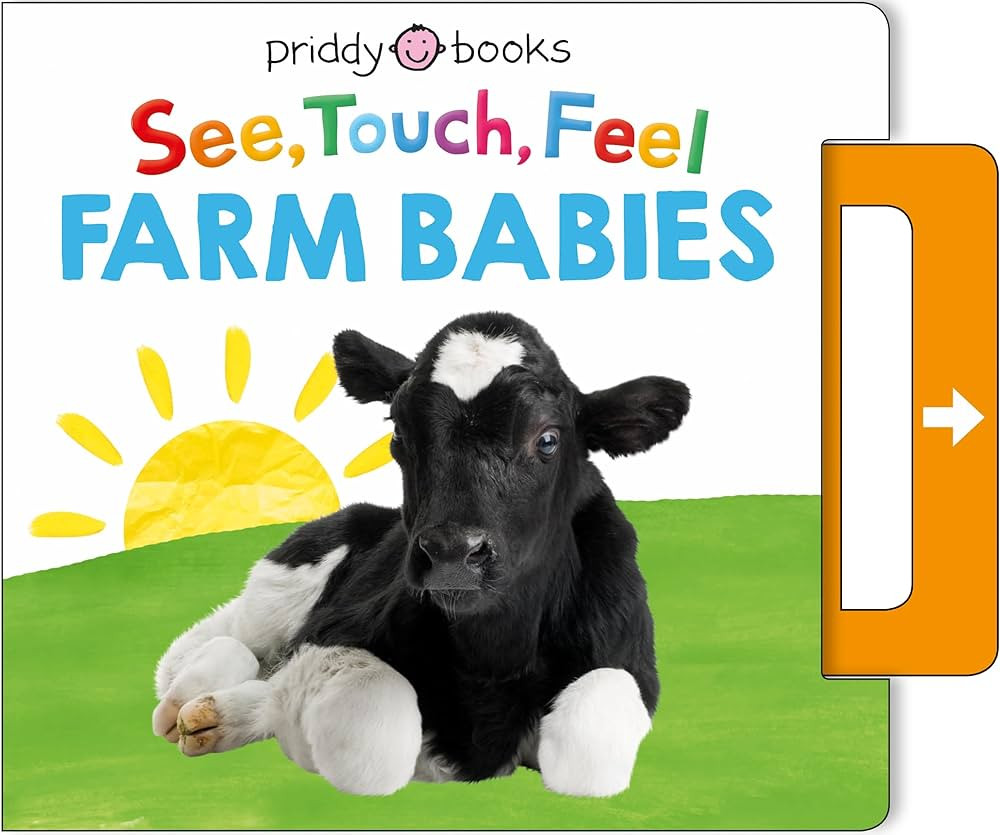 See, Touch, Feel: Farm Babies: A Noisy Pull-Tab Book | Amazon (US)