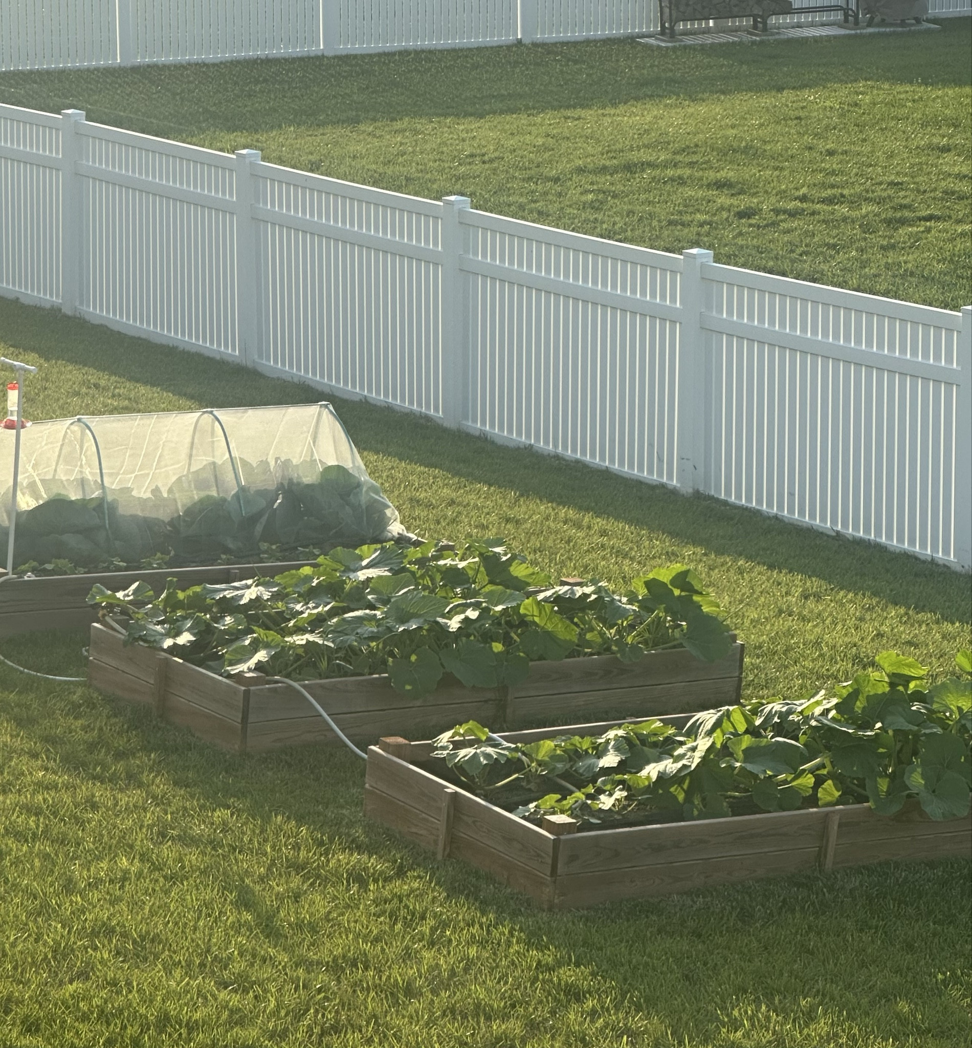 The difference a week makes | swipe to see my garden a week and a half ago — Gardening essentials 🪏🪴🫜👩🏼‍🌾 

#LTKU #LTKFamily #LTKSummerEdit