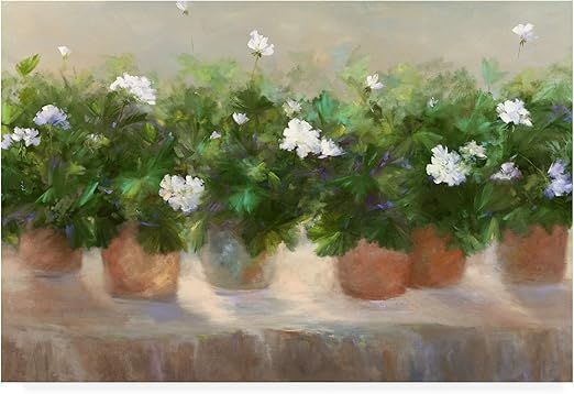 Trademark Fine Art, 16x24 White Geraniums by Sheila Finch | Amazon (US)