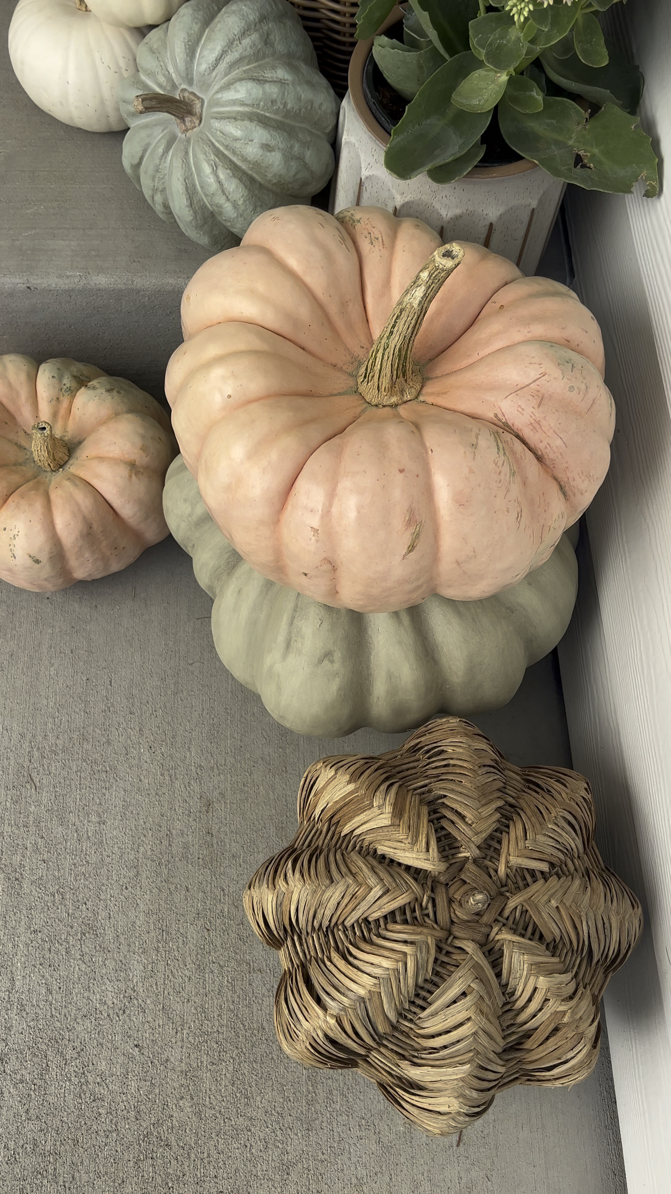 My fall porch! 

Faux pumpkins, faux cabbage, wreath, doormat, rug, Halloween

#LTKHoliday #LTKhome #LTKSeasonal