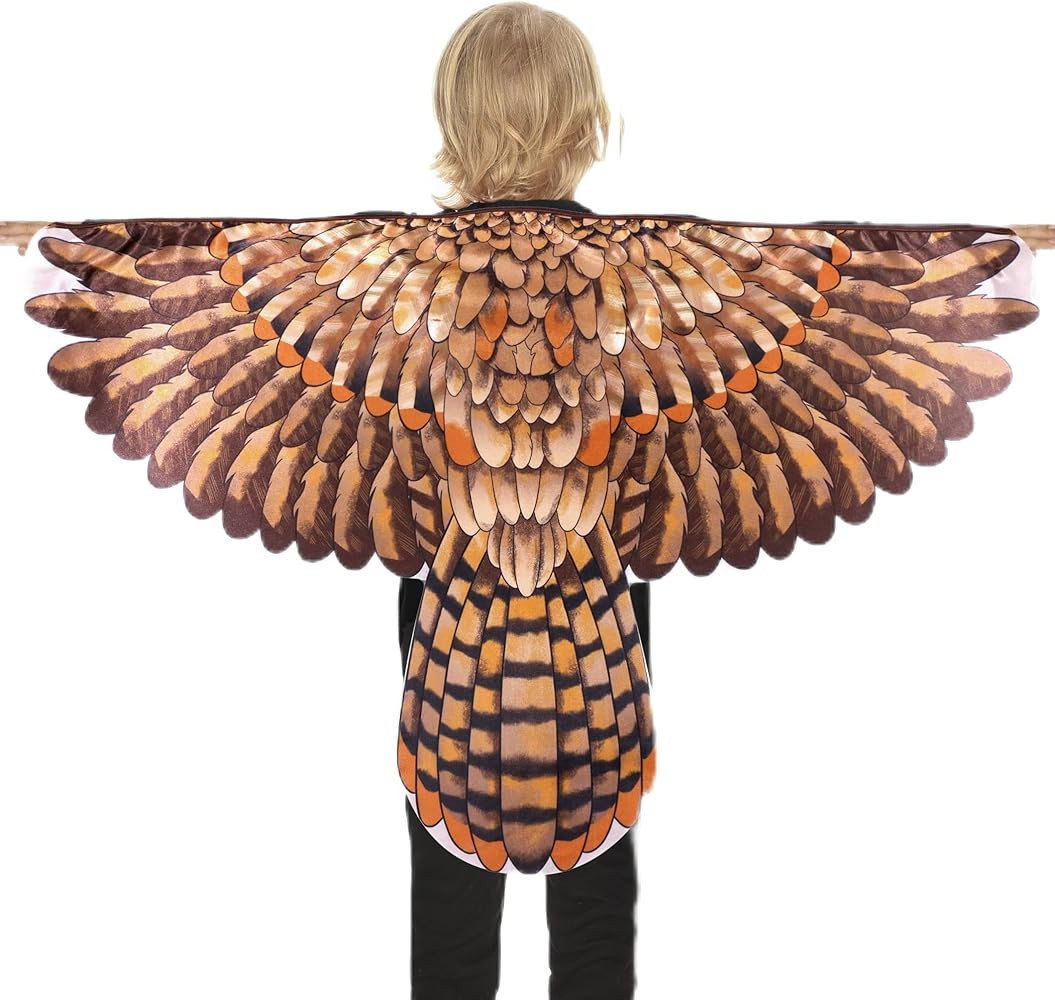D.Q.Z Bird-Wings-Owl-Costume for Kids with Mask, Dress Up Clothes for Boys Girls Eagle Role Play ... | Amazon (US)