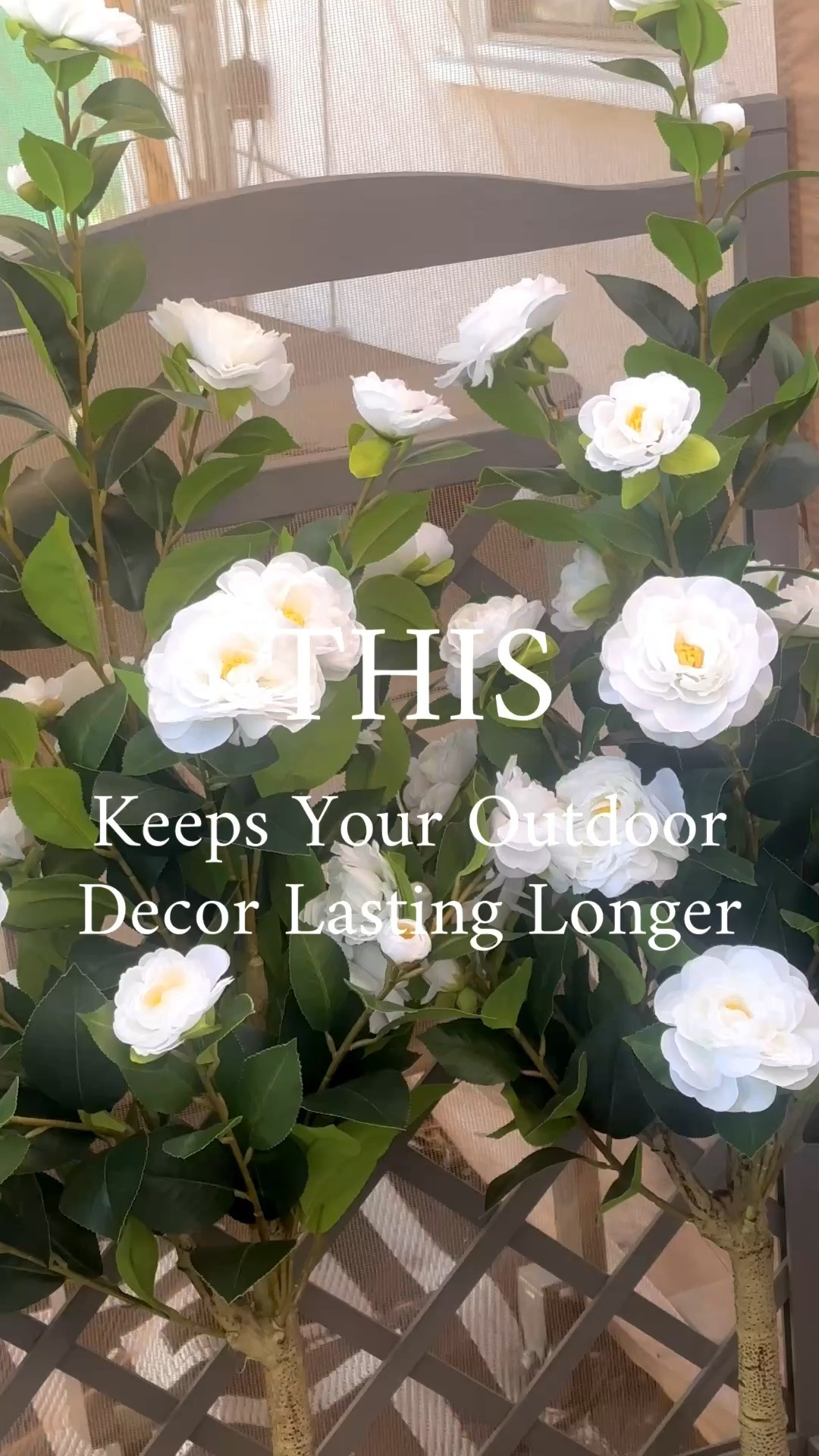 Protecting my outdoor florals from the California sun one little spray at a time. 🌸✨ I’ve been using this UV floral protectant spray on my faux Camellia trees to help keep them looking soft, vibrant, and beautiful through the season instead of faded and brittle. Such an easy little outdoor decor trick if you love creating an elegant patio or garden space. The faux Camellia trees and planters are linked as well. ☀️🤍

Affiliate links may earn me a small commission at no extra cost to you.

#OutdoorDecor #FauxFlowers #CoastalLiving #PatioInspiration #LuxuryHomeStyle

outdoor decor | faux florals | faux Camellia trees | outdoor planters | patio styling | luxury outdoor living | backyard inspiration | elegant outdoor decor | coastal patio | neutral outdoor decor | resort style patio | outdoor oasis | patio refresh | summer patio styling | outdoor entertaining | California outdoor living | garden inspiration | faux flower styling | UV protectant spray | patio makeover | outdoor aesthetic | elevated outdoor decor | timeless patio decor | cozy outdoor spaces | backyard styling | woven planters | outdoor entryway decor | elegant home details | high end outdoor style | luxury patio inspiration | sunny California living | sophisticated outdoor decor | faux tree decor | outdoor decorating ideas | classic outdoor style | designer inspired patio | neutral patio aesthetic | beautiful backyard ideas | upscale outdoor living | outdoor home inspiration

#LTKHome #LTKSeasonal #LTKdayinmylife