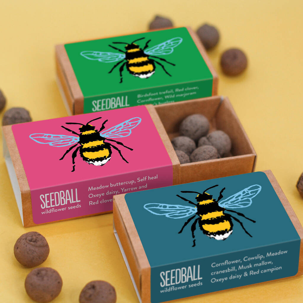 Wildflower Seeds For Bees Stocking Filler | Not On The High Street