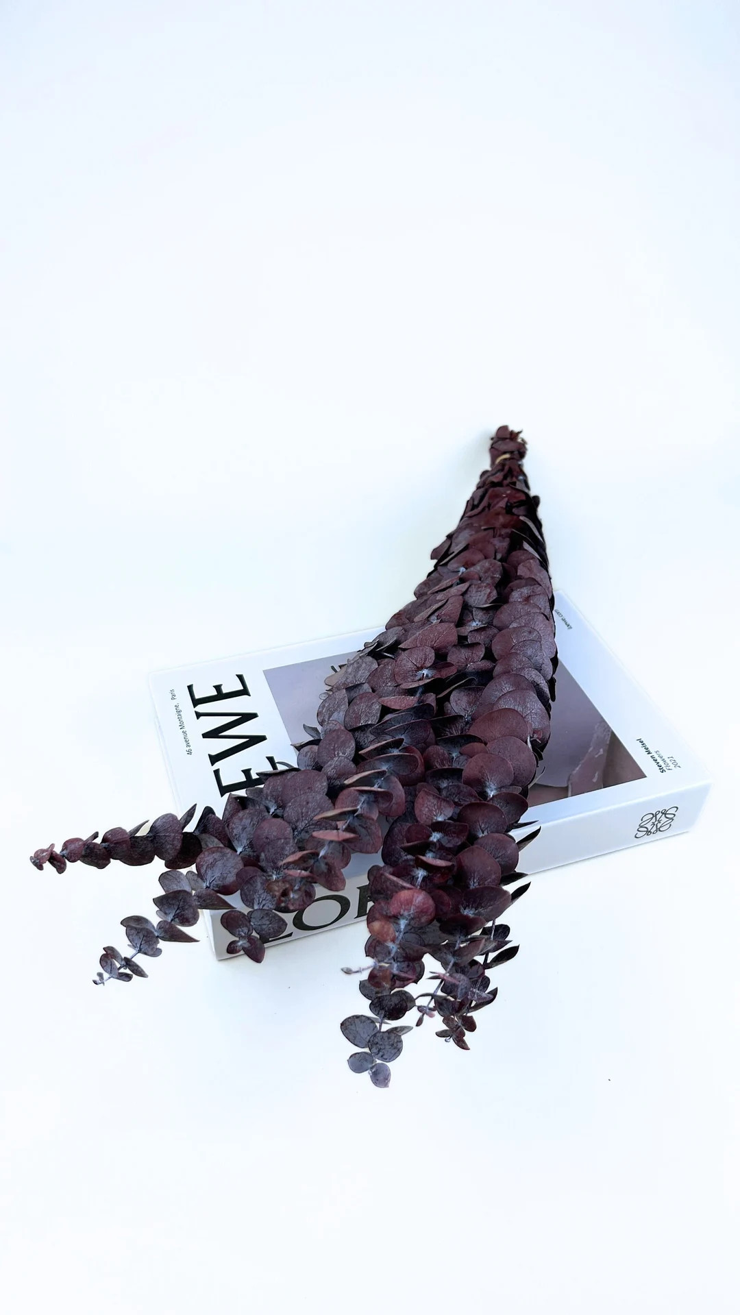 Red Baby Eucalyptus / Preserved Eucalyptus /  Eucalyptus for Bouquets / Perfect for Wedding Home ... | Etsy (US)