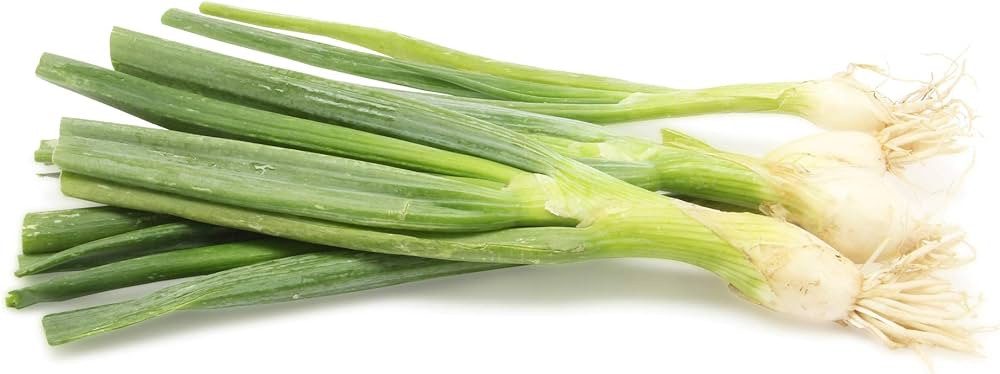 Green Onion (Scallions) Organic, 1 Bunch | Amazon (US)