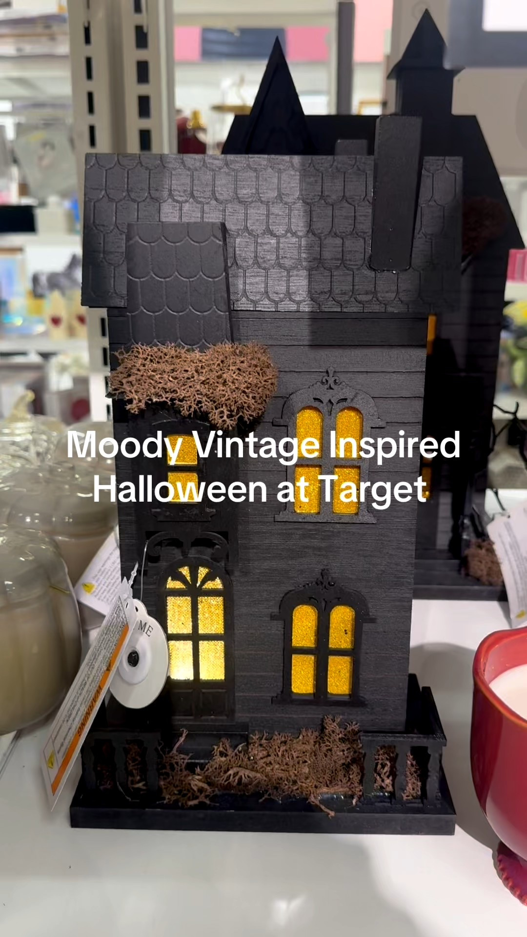 Moody vintage inspired Halloween decor at target 

#LTKSeasonal #LTKHome #LTKStyleTip