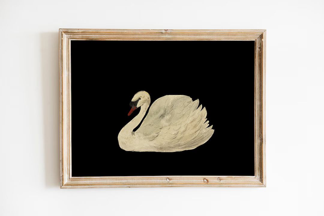 Antique Swan Watercolor Painting Neutral Wall Art Large Wall Art Minimalist Vintage Swan Print Do... | Etsy (US)