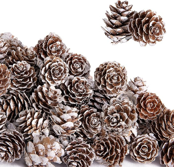 Deloky 150 Pcs Christmas Natural Mini Pine Cones- 1" Small Christmas Snow Pinecones Ornaments- Th... | Amazon (US)