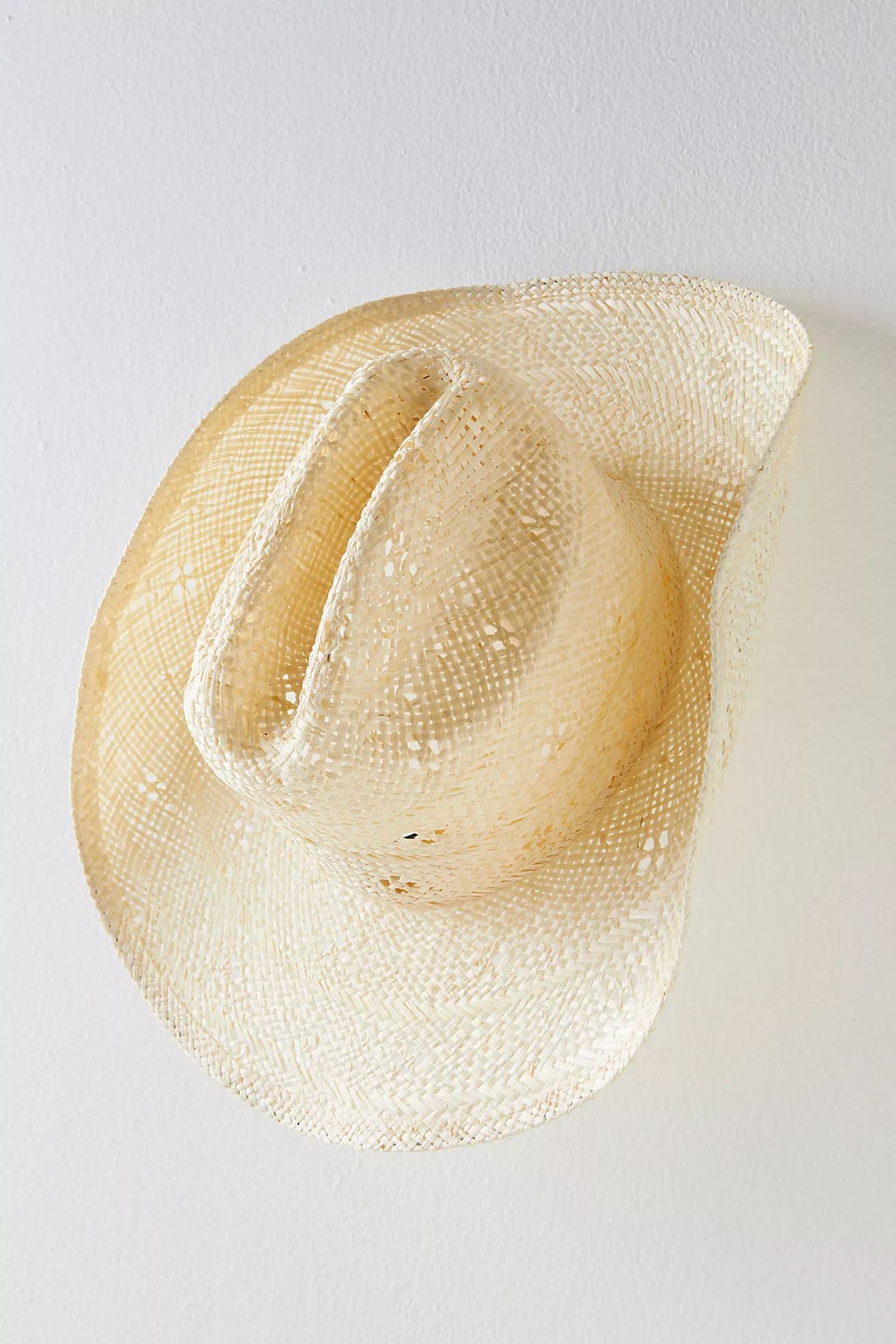 Desert Rose Straw Cowboy Hat | Free People (Global - UK&FR Excluded)