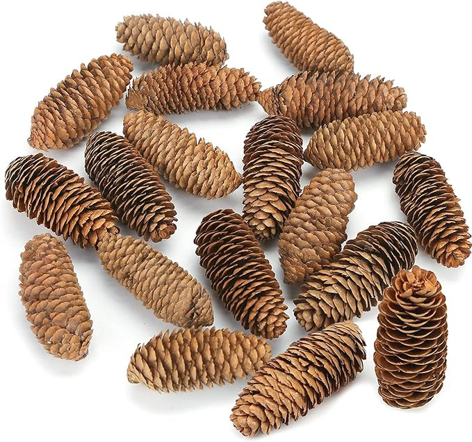 JOHOUSE 3.5-5Inch Natural Pine Cones, Big Pinecones, Christmas Natural Pinecone Ornaments Big Spr... | Amazon (US)