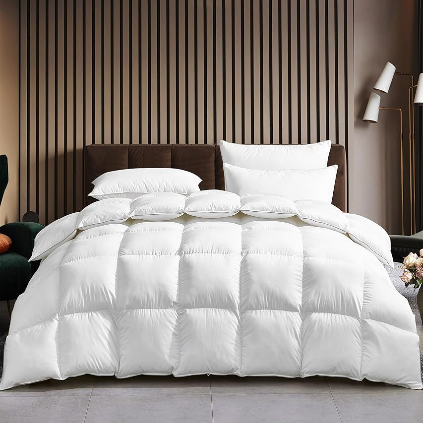 Chezmoi Collection Light Warmth White Down Alternative Comforter Duvet Insert, Oversized Queen Size | Amazon (US)