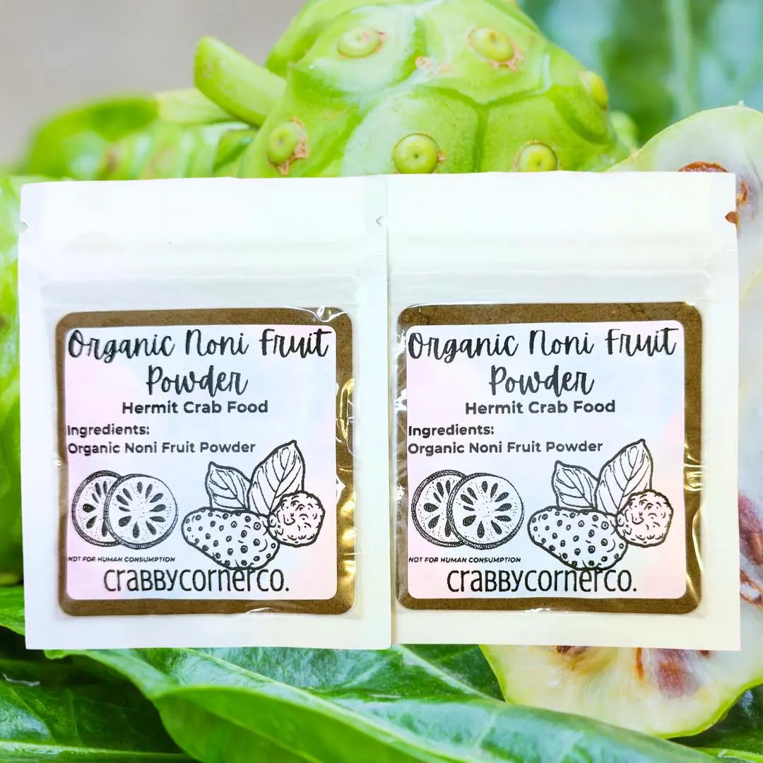 Organic Noni Fruit Powder for Hermit Crabs | Hermit Crab Food - Etsy | Etsy (US)