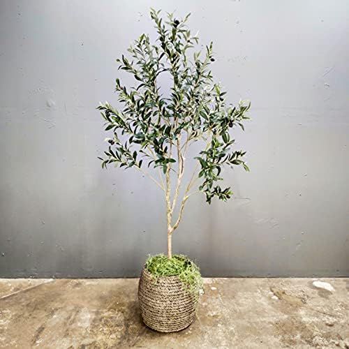 CEKKIENA A 6-Foot (70 inches) Artificial Olive Tree,Fake Olive Tree,Silk Olive Tree,OliveTree,Artifi | Amazon (US)