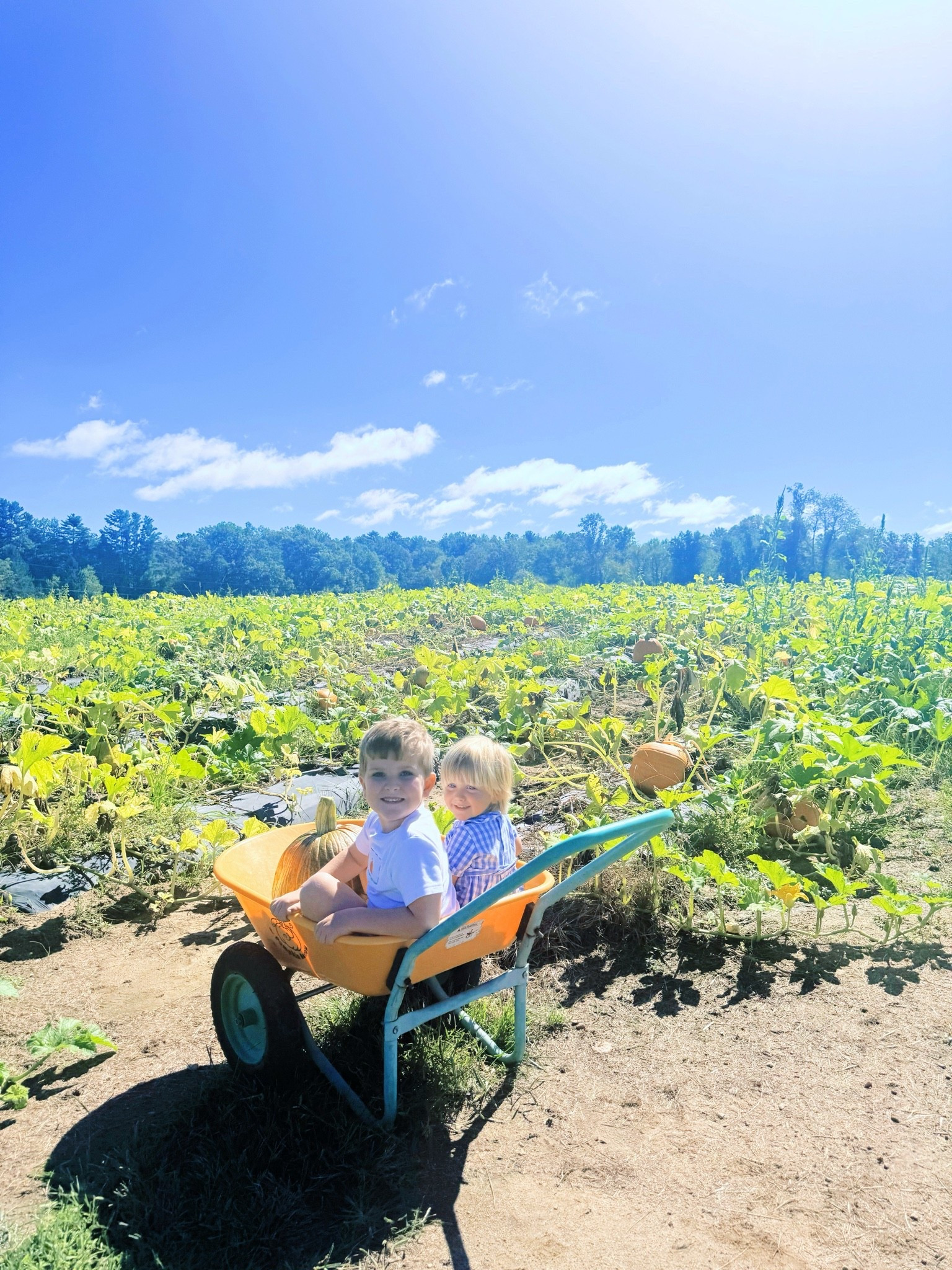 Oh just the cutest 🥰 whittle #brotherbestie pumpkins 🎃 in a wheelbarrow 🤠 I ever did see!! 🚜🍂🌱 So thankful for these two little sweeties 👶🏼👶🏼 and welcoming in allllll things 🍁 a u t u m n 🍁 ‘round here with our littles!!! 🌼🤎🌿🧺🌾 Happy Monday and Happy Fall from our little pumpkins!!! 👶🏼🧡 #pumpkinpatch2026 #nixpumpkinpatch #ourlittlepumpkins #pumpkinpatchtradition