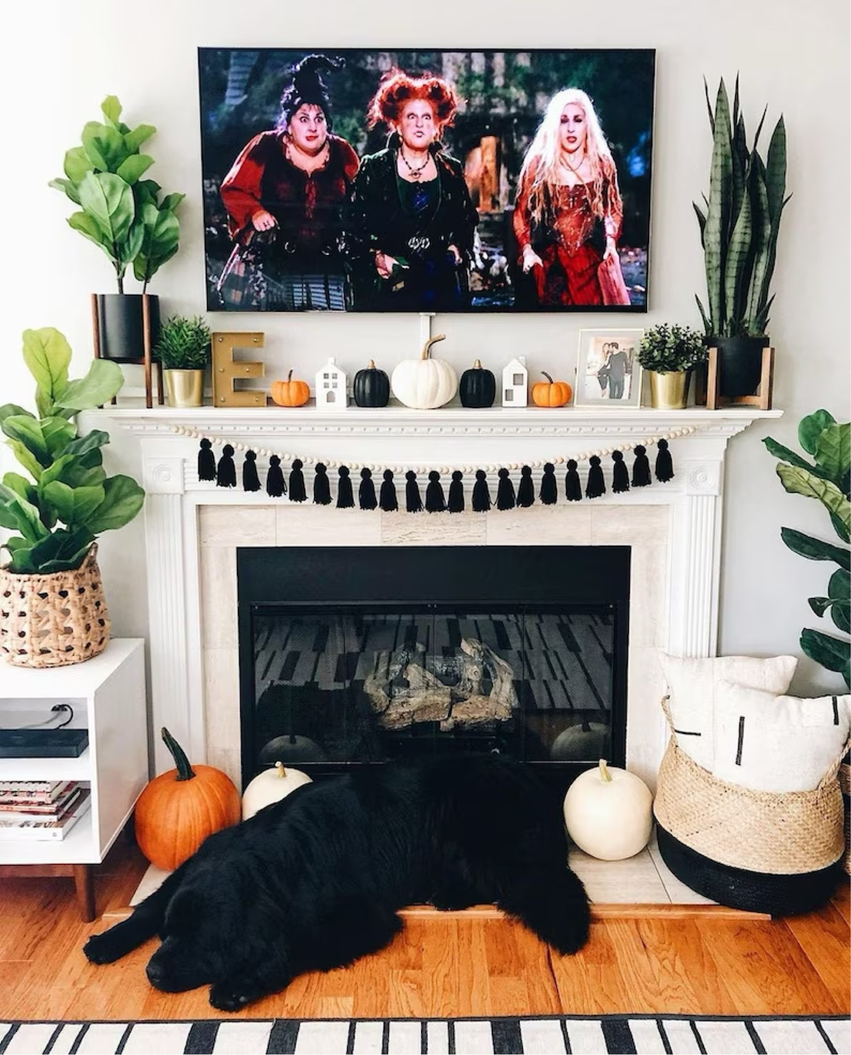Halloween + fall decor and accessory must haves🫶🏽

#LTKBacktoSchool #LTKunder100 #LTKSeasonal