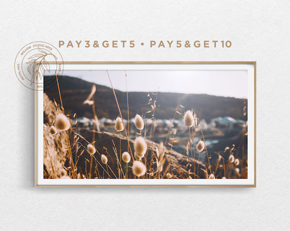 4K Samsung Frame TV Art Dry Pampas/grass in Golden Afternoon - Etsy | Etsy (US)