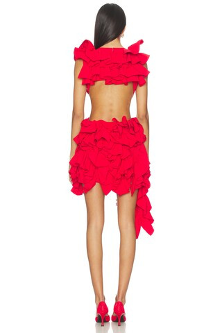 Olive Ruffle Dress in Red | Revolve Clothing (Global)