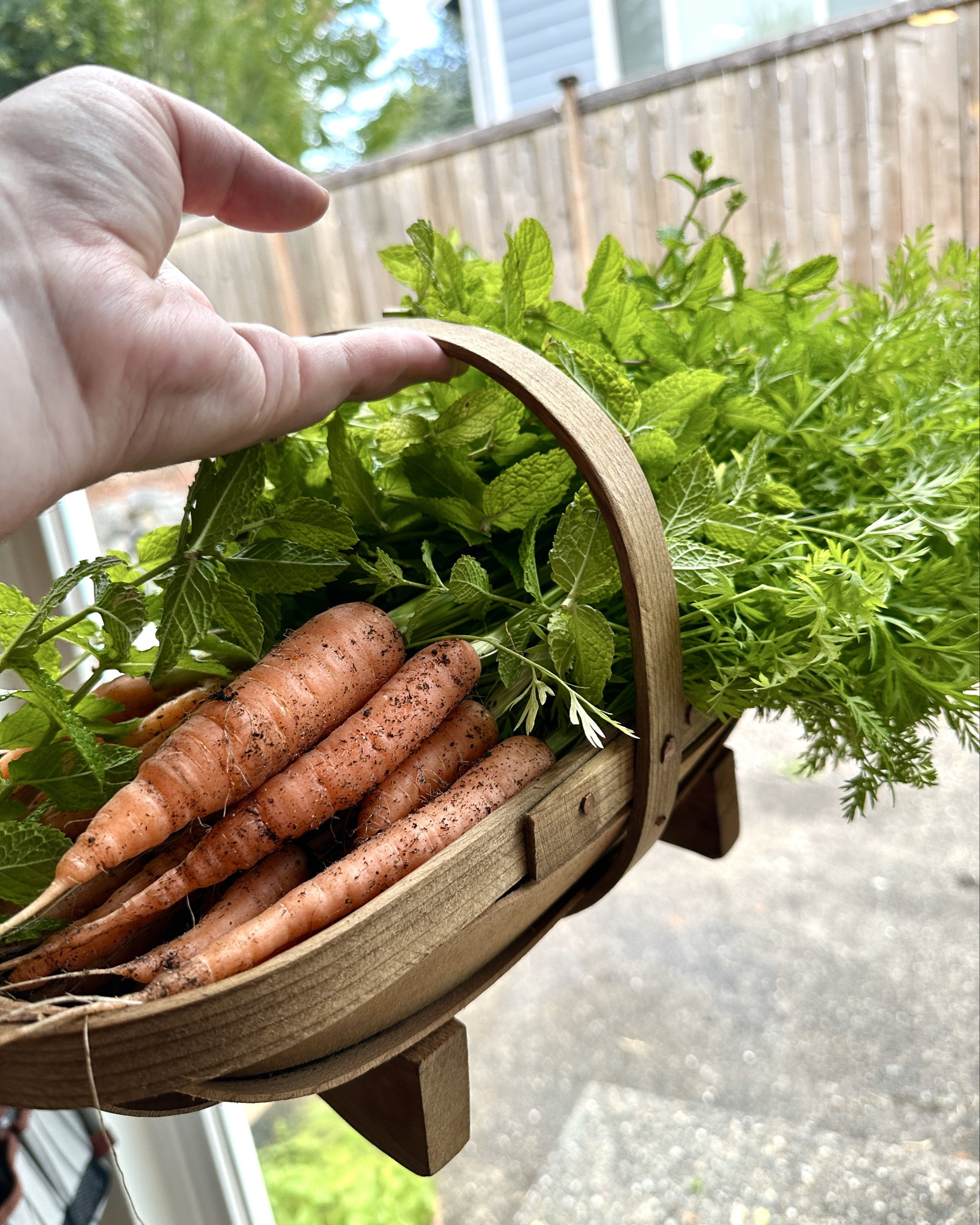 Would you believe I found this secondhand British garden harvest trug for $10??? 😍

If there’s one thing I’ve found, it’s that it’s almost impossible to find a nice, non-plastic, doesn’t stick out like a sore thumb (or ruin the vibe where I immediately want to put it in a closed cabinet) harvesting container… below are some of the ones I saved for inspiration before I found this beauty! (One is actually almost identical) 

#LTKSeasonal #LTKOver40 #LTKHome