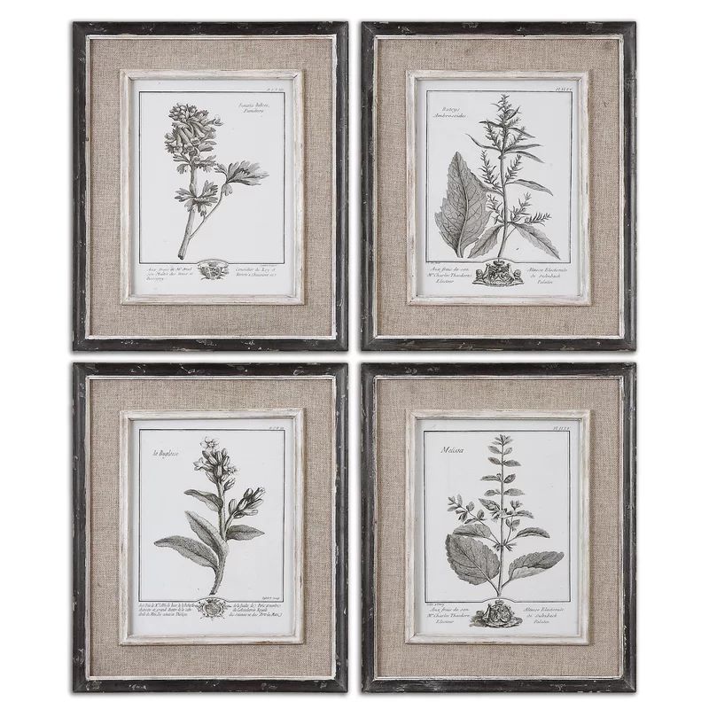 'Ladouceur' by Grace Feyock - 4 Piece Picture Frame Print Set on Paper | Wayfair Professional