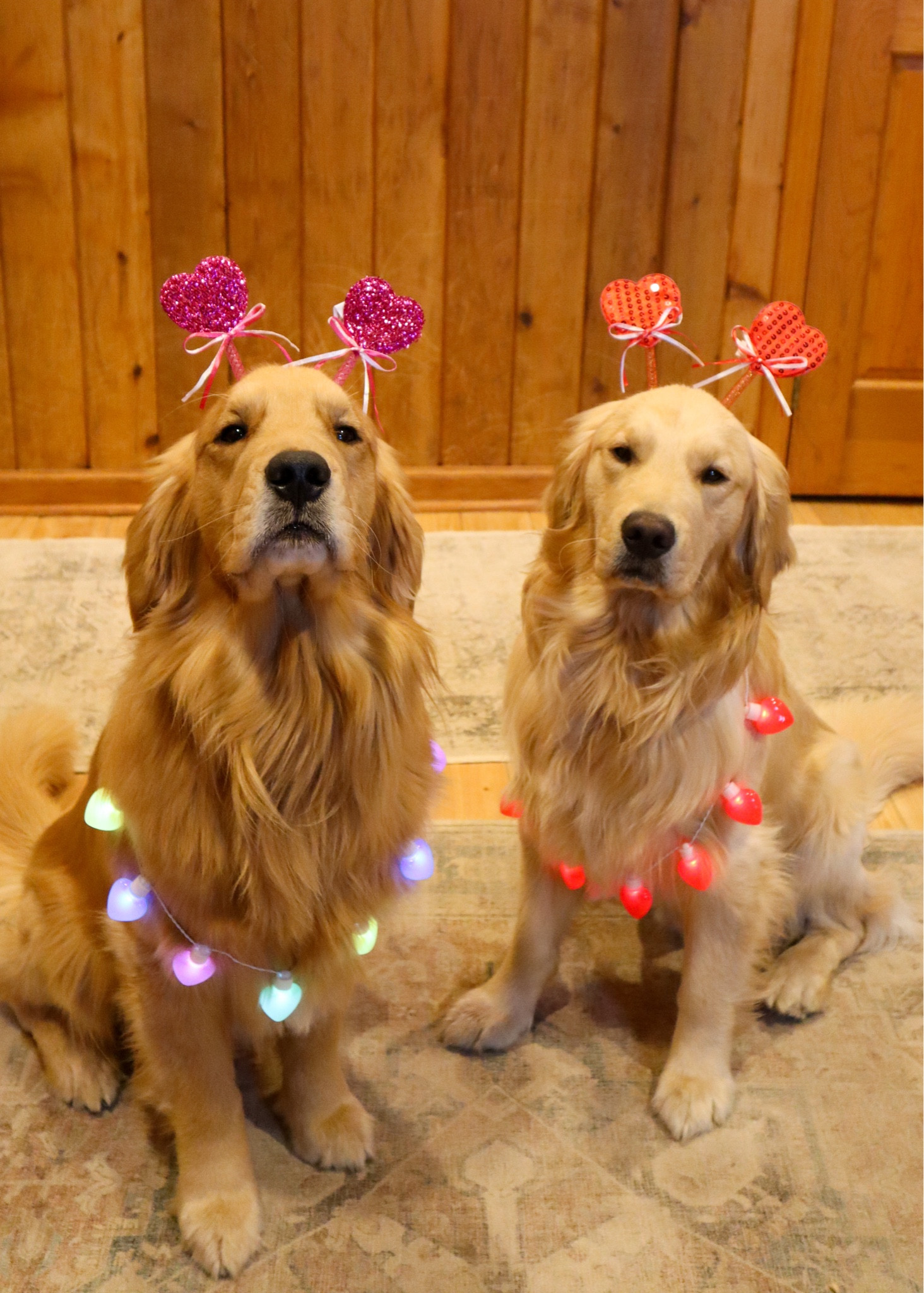 Valentine’s Day accessories! 

#LTKunder50 #LTKSeasonal #LTKstyletip