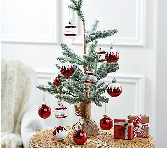 Ebenezer & Co. Set of 12 Round Ornament Set - QVC.com | QVC