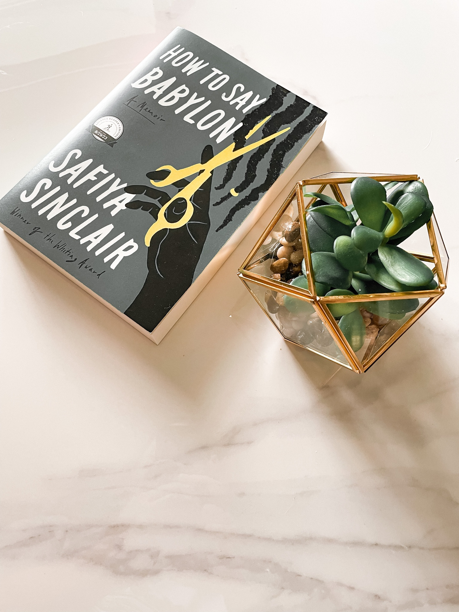 Book, book to read, fake plant, shelf decor, table decor, coffee table

#LTKunder50 #LTKhome