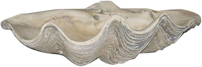 House Parts Large Clam Shell | Amazon (US)