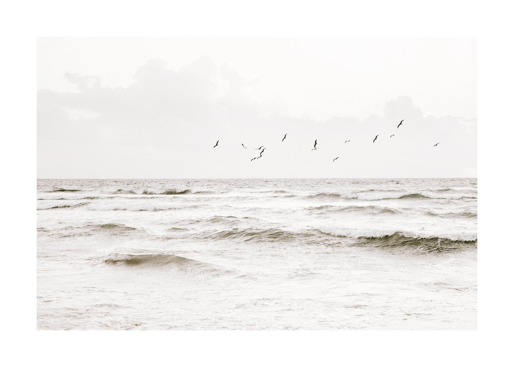 Flock of Seabirds Print | Desenio