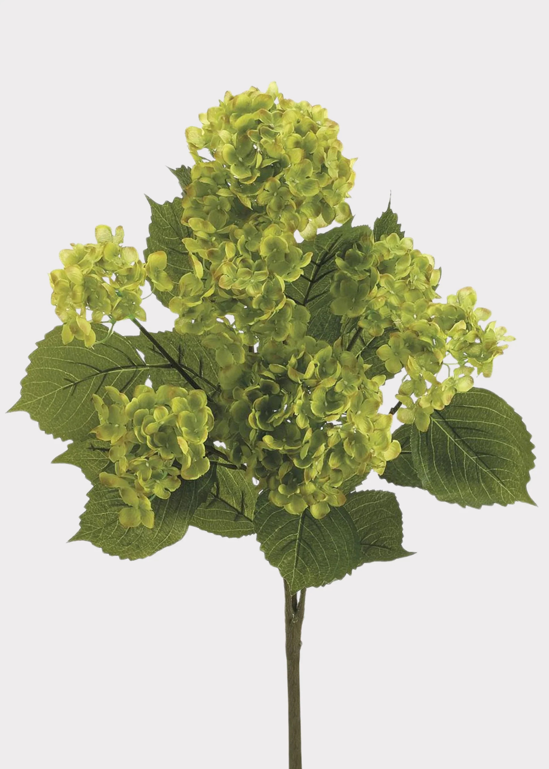 Artificial Hydrangea Bush in Green | Permanent Fake Flowers | Afloral | Afloral