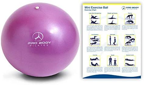 Amazon.com: ProBody Pilates Ball Workout Ball - 9 Inch Mini Physical Therapy Ball for Stability, ... | Amazon (US)