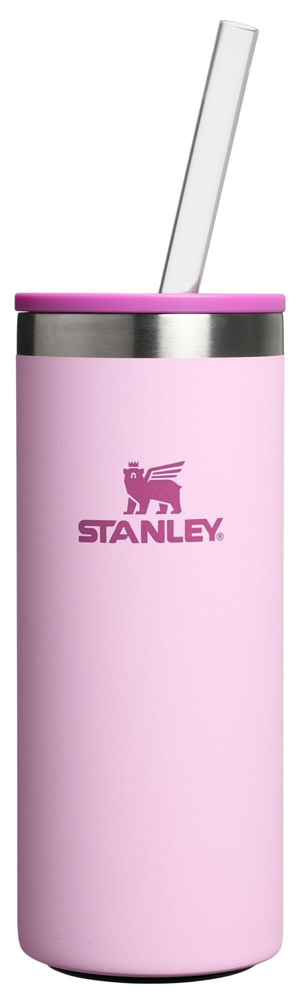 Stanley 10 oz. Everyday Slim Can Cooler Cup, Stainless Steel | DICK'S Sporting Goods