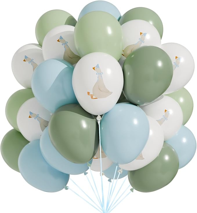 60 Pcs Bow Goose Balloons Set, 12 Inch Pastel Pink Latex Balloons One Silly Goose Birthday Party ... | Amazon (US)