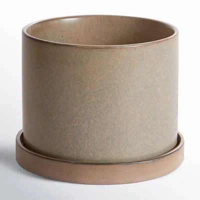 Tyron Hawthorne Ceramic Pot Planter | Wayfair North America