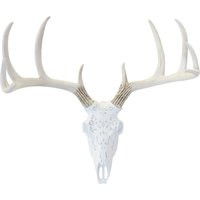 Faux Taxidermy - Deer Skull Wall Mount Native American Tribal Carving White With Natural Antlers Dbs | Etsy (US)