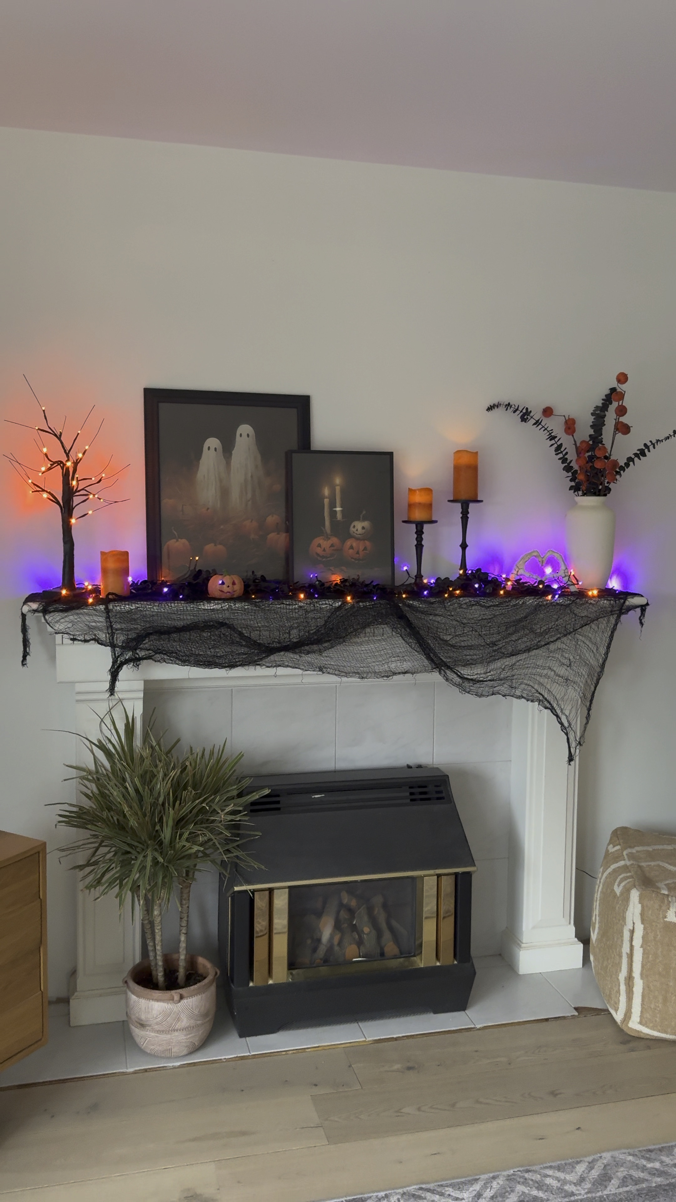 Get ready for spooky season with inexpensive Halloween decor from Temu!

#homedecor #holidaydecorations #halloween #halloweenhomedecor

#LTKSeasonal #LTKVideo #LTKHome