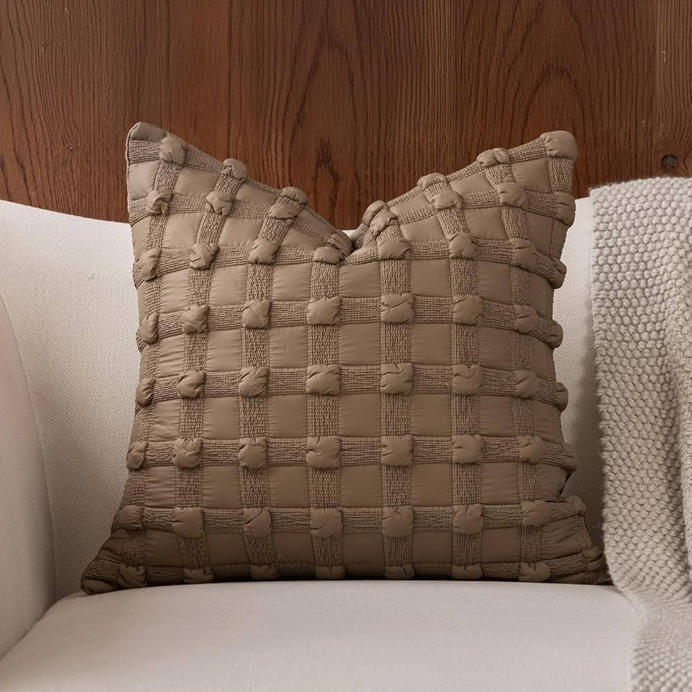 DWR 18x18 Throw Pillow Cover – Sculpted Foam Knot Grid Design with Soft Velvet Back, Minimalist... | Amazon (US)