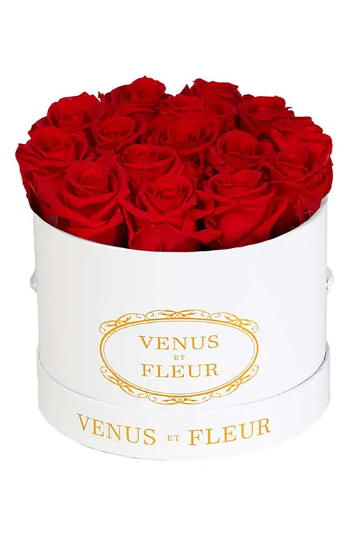 Venus ET Fleur Classic Small Round Eternity Roses in Red at Nordstrom | Nordstrom