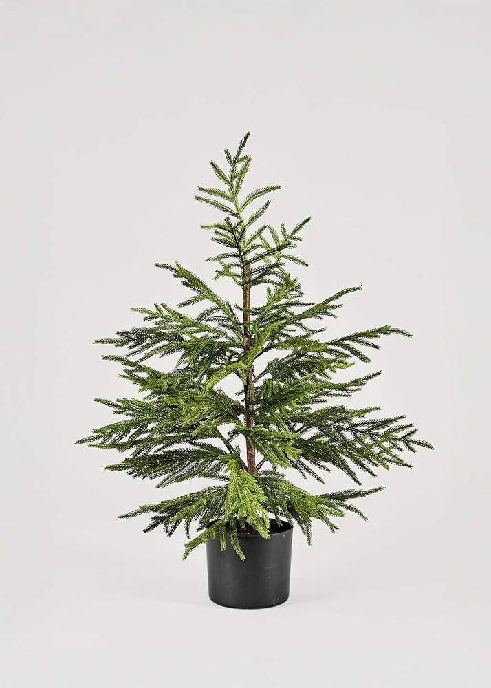 Afloral Artificial Norfolk Pine Tree - 36" | Amazon (US)