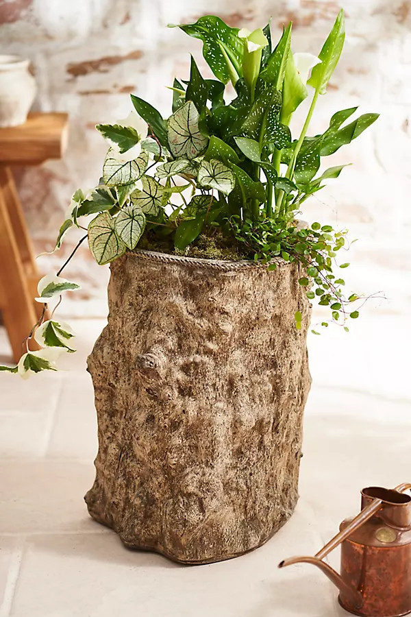 Dion Cast Stone Planter in Grey, Size: 15" at Terrain | Terrain