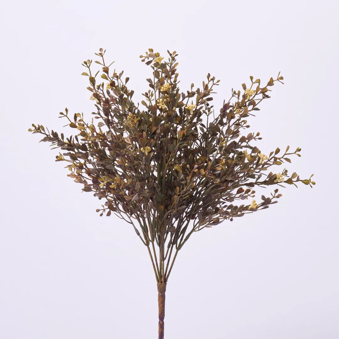 Seeding Brown Mini Boxwood Bush Everyday Fall Greenery Spray  - 16" | Etsy (US)