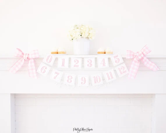 Watercolor Pink First Year Monthly Milestone Photo Banner  - Etsy | Etsy (US)